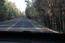 Enlarge photo 241