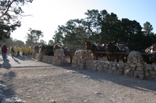 Enlarge photo 568