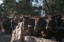 Enlarge photo 574