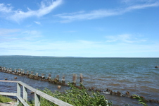 Enlarge photo 14
