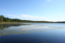 Enlarge photo 23
