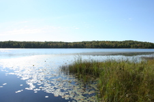 Enlarge photo 25