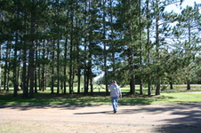 Enlarge photo 31