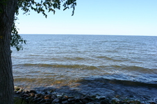 Enlarge photo 37