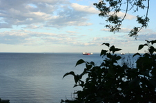 Enlarge photo 67
