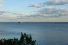 Enlarge photo 71