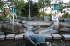 Enlarge photo 75