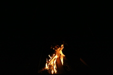 Enlarge photo 92