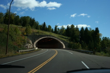 Enlarge photo 103