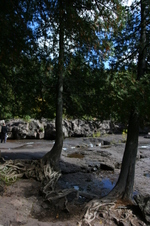 Enlarge photo 108
