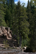 Enlarge photo 116