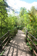 Enlarge photo 135