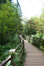 Enlarge photo 136