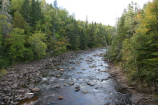 Enlarge photo 154