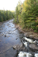Enlarge photo 156