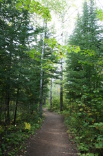 Enlarge photo 157