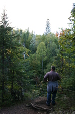 Enlarge photo 161