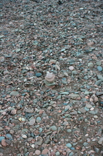 Enlarge photo 168