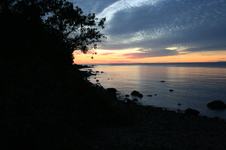 Enlarge photo 171