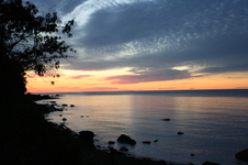 Enlarge photo 172