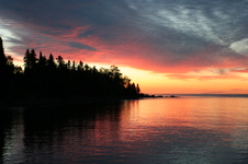 Enlarge photo 181