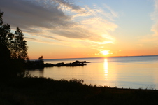 Enlarge photo 183