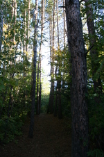 Enlarge photo 187