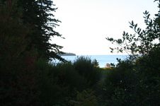 Enlarge photo 189