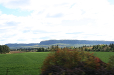 Enlarge photo 194