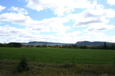Enlarge photo 195