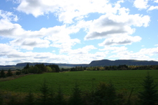 Enlarge photo 196