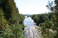 Enlarge photo 202