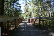 Enlarge photo 204