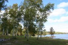 Enlarge photo 214