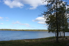 Enlarge photo 216