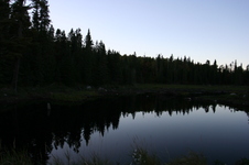 Enlarge photo 217