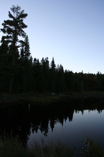 Enlarge photo 218