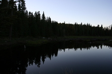 Enlarge photo 219