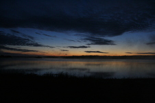 Enlarge photo 230