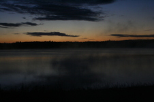 Enlarge photo 231