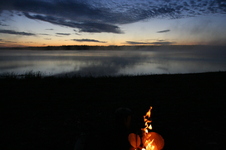 Enlarge photo 234