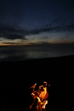 Enlarge photo 235
