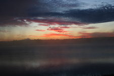 Enlarge photo 237