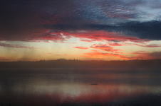 Enlarge photo 239