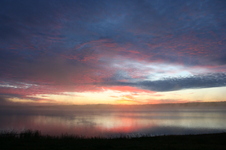 Enlarge photo 240