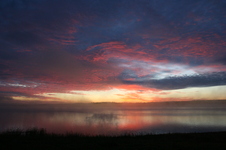 Enlarge photo 241