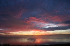 Enlarge photo 242