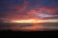 Enlarge photo 245