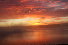 Enlarge photo 246
