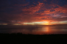 Enlarge photo 247